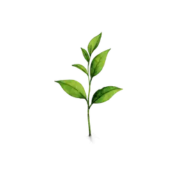 sapling